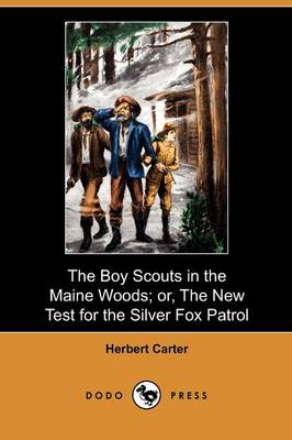 Book cover for The Boy Scouts in the Maine Woods; Or, the New Test for the Silver Fox Patrol (Dodo Press)