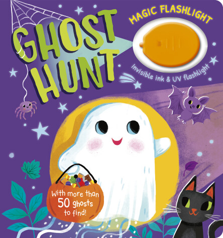 Book cover for Magic Flashlight: Ghost Hunt