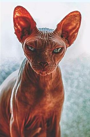Cover of Sphynx Cat Lovers Journal