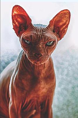 Book cover for Sphynx Cat Lovers Journal