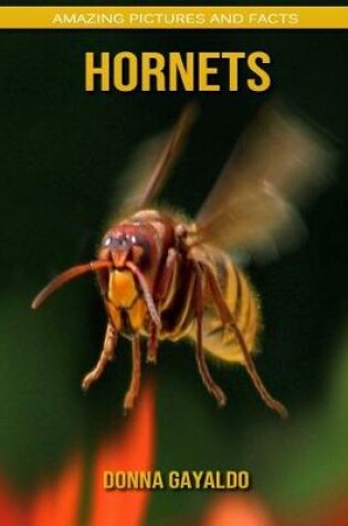 Cover of Hornets