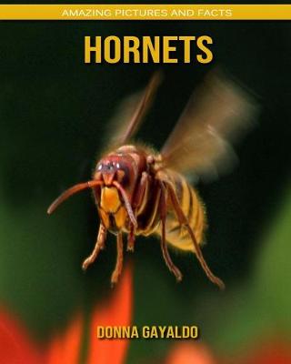 Book cover for Hornets