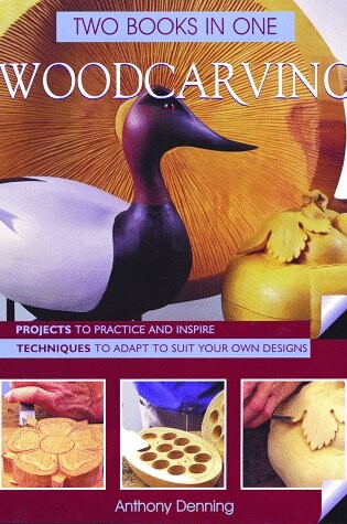 Cover of Woodcarving Two Books in One