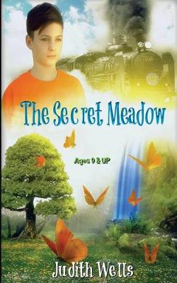 Book cover for The Secret Meadow