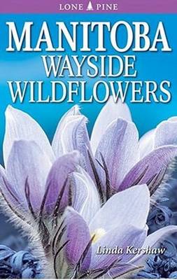 Book cover for Manitoba Wayside Wildflowers