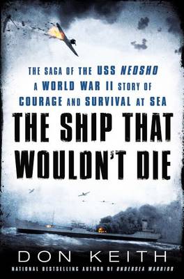 Book cover for The Ship That Wouldn't Die