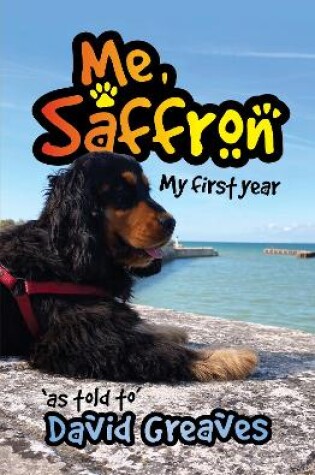 Cover of Me, Saffron