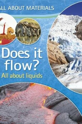 Cover of Does it Flow?