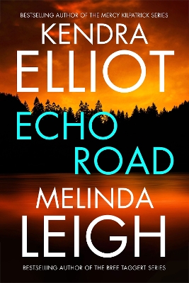 Book cover for Echo Road