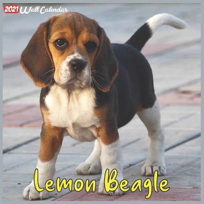 Book cover for Lemon Beagle 2021 Wall Calendar