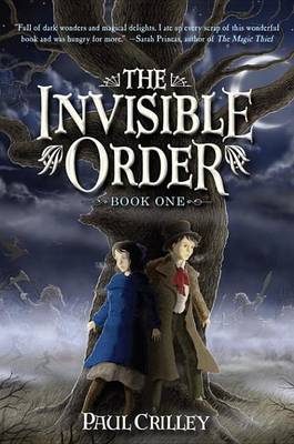 Book cover for The Invisible Order, Book One