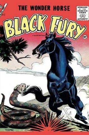 Cover of Black Fury # 7