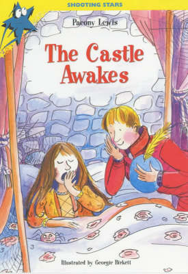 Cover of The Castle Awakes