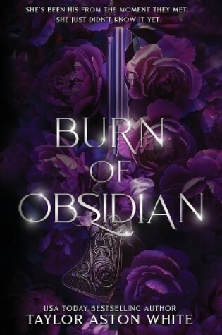 Cover of Burn of Obsidian - Special Edition