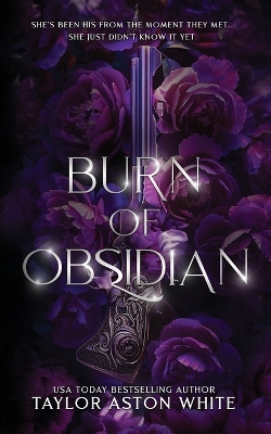 Book cover for Burn of Obsidian - Special Edition