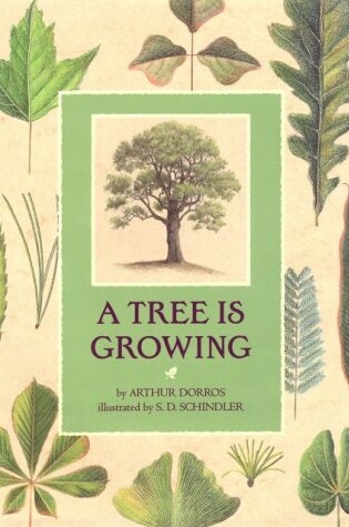 Cover of A Tree is Growing