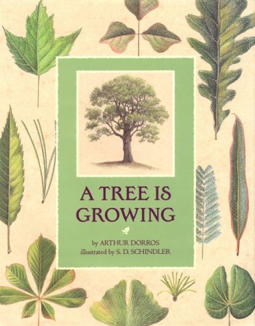 Book cover for A Tree is Growing
