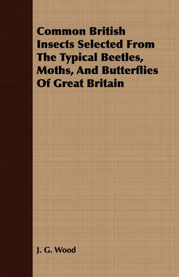 Book cover for Common British Insects Selected From The Typical Beetles, Moths, And Butterflies Of Great Britain