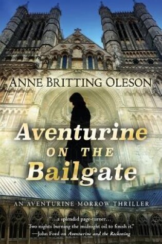 Cover of Aventurine on the Bailgate