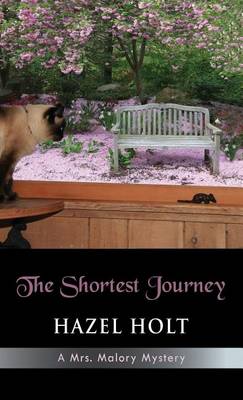 Book cover for The Shortest Journey