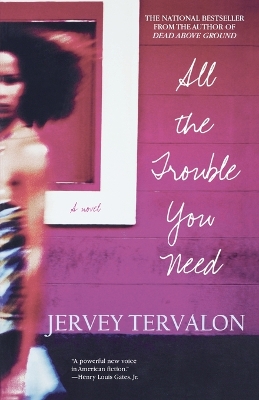 Book cover for All the Trouble You Need