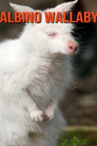 Cover of Albino Wallaby