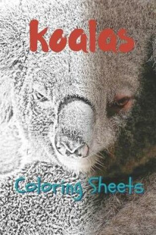 Cover of Koala Coloring Sheets