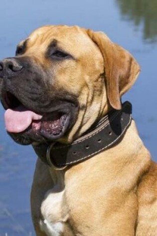 Cover of Boerboel Dog Sitting by the Pond Journal