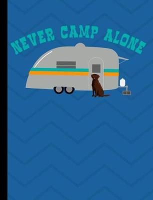 Book cover for Never Camp Alone