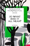 Book cover for So What Does It All Mean?