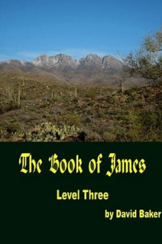 Cover of The Book of James: Level Three