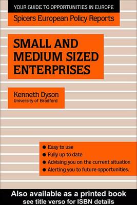 Book cover for Small and Medium Sized Enterprises