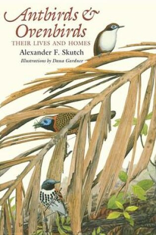 Cover of Antbirds and Ovenbirds