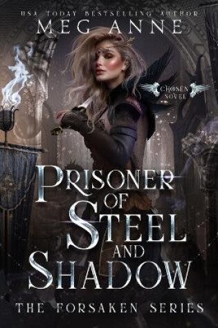 Cover of Prisoner of Steel and Shadow