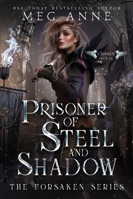 Book cover for Prisoner of Steel and Shadow