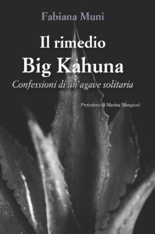 Cover of Il rimedio Big Kahuna