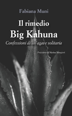 Book cover for Il rimedio Big Kahuna