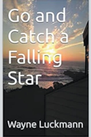 Cover of Go and Catch a Falling Star