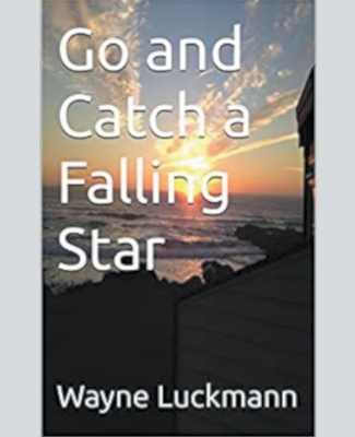 Book cover for Go and Catch a Falling Star