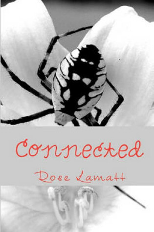 Cover of Connected