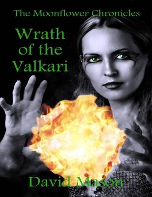 Book cover for Wrath of the Valkari