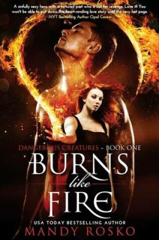 Cover of Burns Like Fire