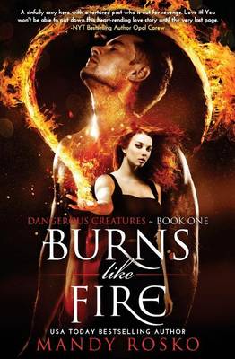 Book cover for Burns Like Fire