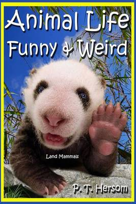 Cover of Animal Life Funny & Weird Land Mammals