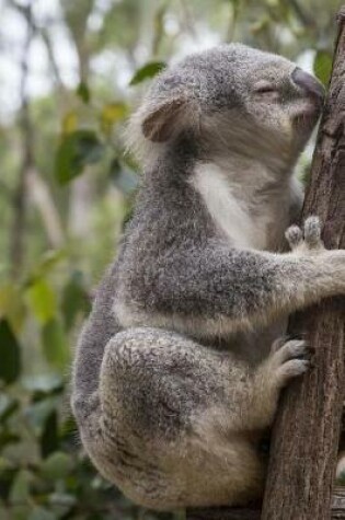 Cover of Koala Hanging Around Journal