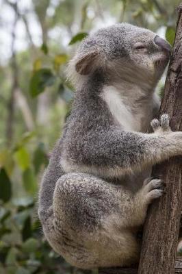 Book cover for Koala Hanging Around Journal