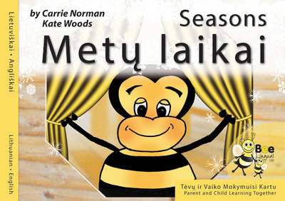 Book cover for Metu Laikai