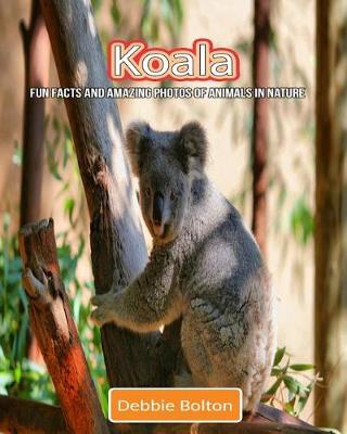 Book cover for Koala