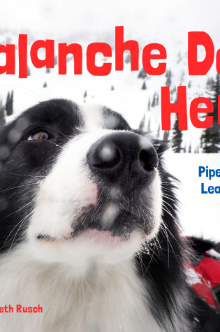 Cover of Avalanche Dog Heroes