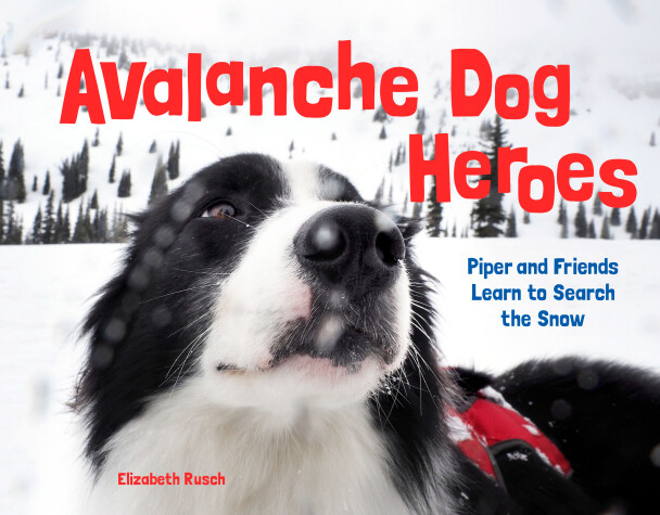 Book cover for Avalanche Dog Heroes